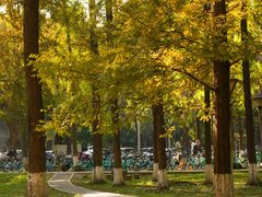 -四川大学(望江校区)