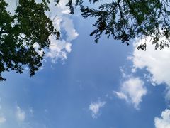 -上海辰山植物园