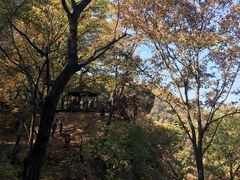 -野三坡百草畔景区