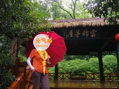 -镇江市南山风景名胜区竹林景区