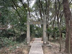 -上海佘山国家森林公园天马山园