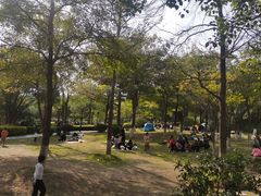 -八仙山公园
