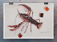 -王红军龙虾(新民路店)