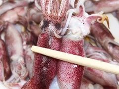 -坛南湾阿强农家乐.海鲜大排档老字号(福州地标美食店)