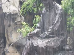 -芥子园