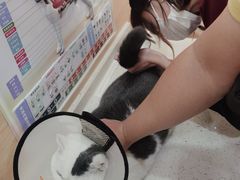 -美联众合动物医院·24h京西诊疗中心