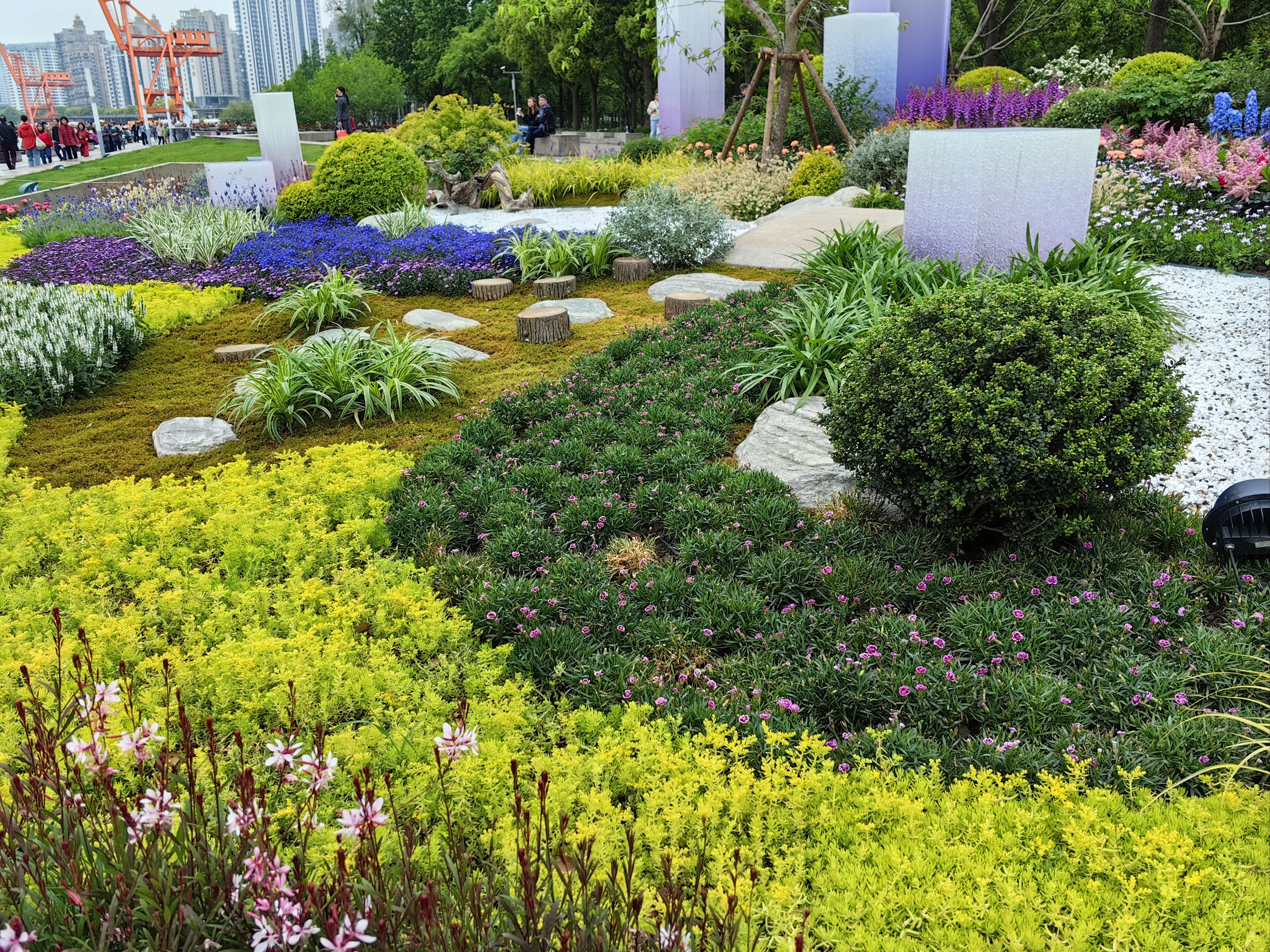 上海国际花展图片