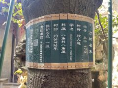 -东山雕花楼
