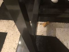 卫生-HELLO MUSAE 拾光缪斯餐厅·纯正希腊风味(苏州中心店)