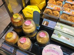 -蒲公英(五里店)
