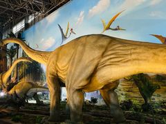 -西峡恐龙遗迹园