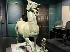 -广西壮族自治区博物馆