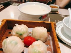悦满楼虾饺皇-悦满楼·西关名点·湛江名菜(航空综合大厦店)