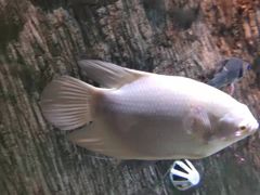 -多彩贵州城极地海洋世界