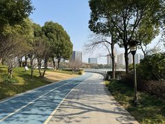 -南翔镇银翔湖公园