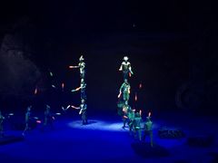 -珠海横琴长隆《卡卡虎奇遇记》