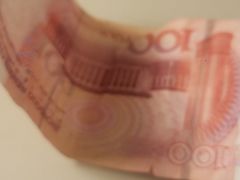 -瑞派福兴宠物医院犬猫全科·骨科·中西医结合(河东店)