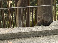 -太阳湾风景区