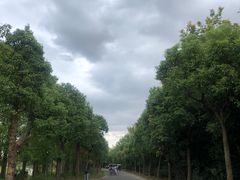 -上海海湾国家森林公园