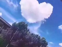 -江湾体育中心游泳馆