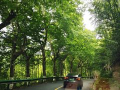 -莫干山风景区