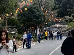 -灵顺寺