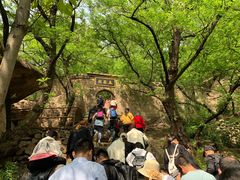 -嵖岈山风景区