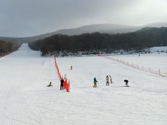 -五家山森林公园滑雪场