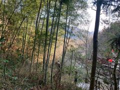 -白水湾景区