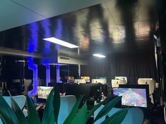 -绿树电竞(五路店)