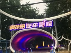 -枫花园汽车电影院(朝阳公园店)