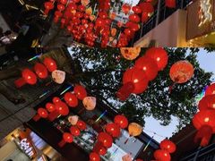 -越秀西湖花市(广州城市广场花卉店)
