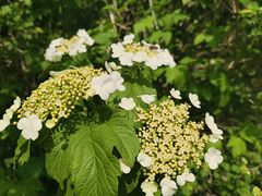 -北京金海湖景区