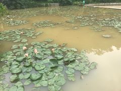 -云溪植物园
