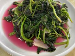 清炒米苋-沪依小酒馆心意菜