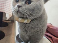 -小时光咖啡馆(北锣鼓巷店)