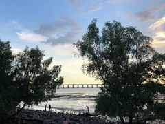 -宝安西湾红树林湿地公园