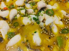 -鸡毛店·川菜(双楠店)