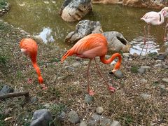 -昆明动物园