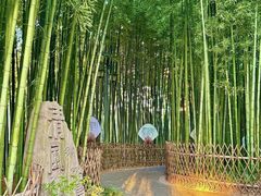 -陈家山荷花公园