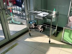 -乐宠动物医院