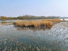 -野鸭湖国家湿地公园