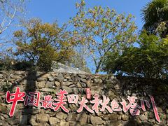 -塔川景区