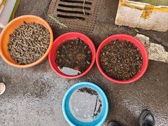-永汉农贸综合市场