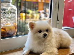 -茶是一枝花泡茶店