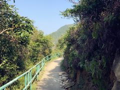 -南丫岛