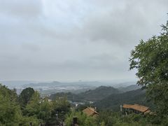 -铁山坪森林公园