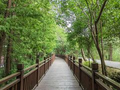 -溱湖国家湿地公园