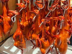 -鸽子侯·家宴·平价海鲜(市图书馆店)