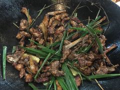 -一煲鸽